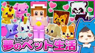 かわいいペットと夢の生活!!第２回部屋作り対決!!【マイクラ/まいくら】