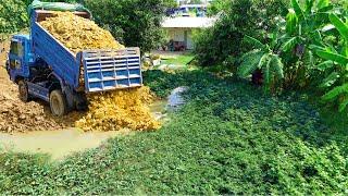 Nicely Job proseccing Project!Dump Truck Filling land Delete Pond, Bulldozer D20P Pushing Perfectly