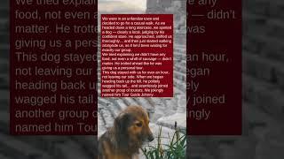 The Story of a Tour Guide Dog in a Strange Town  Check out this story: Part #65
