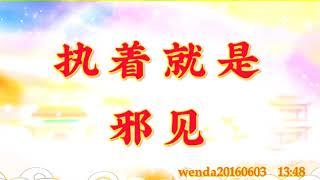 卢台长开示： 执着就是邪见wenda20160603  13:48