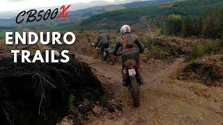 CB500X Off Road High Enduro Trails