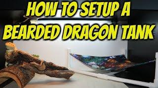 How to Setup a Bearded Dragon Tank