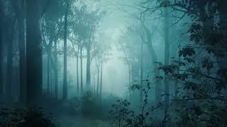 FANTASY MUSIC in a Magical Forest | Fantasy Ambience