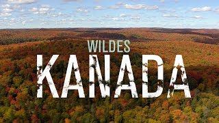 Wildes Kanada - Trailer [HD] Deutsch / German