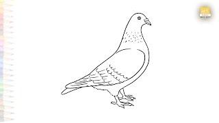 Pigeon drawing easy 05 | Birds art sketches | How to draw A Pigeon step by step simply | #artjanag