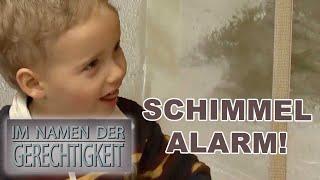 Schimmel-Alarm! Kleiner Felix ist nur noch am Husten! |1/2| Im Namen der Gerechtigkeit | SAT.1