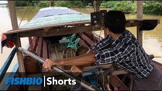 FISHBIO Shorts | Boating in Myanmar