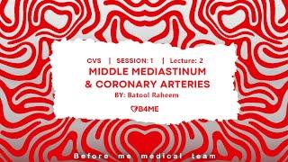 CVS S1L2 P1 | Middle Mediastinum