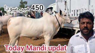 Tahli adda mandi latest update ll part 3 ll 450k mae soda ll jamil tv ll