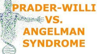 Prader-Willi vs. Angelman Syndrome (Imprinting)