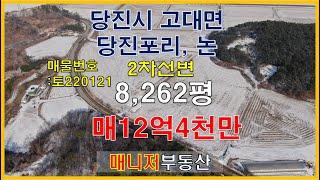 (토220121)당진토지매매,고대면 당진포리 2차선변 넓은 논 8262평