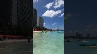 Her reaction when I waved! #shorts #beach #guam #sun