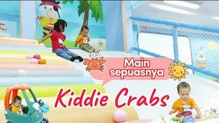 Kiddie Crabs Main Sepuasnya