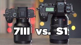 Sony Alpha 7 III vs. Panasonic Lumix S1 | Test | Praxistest | Vergleichstest | deutsch