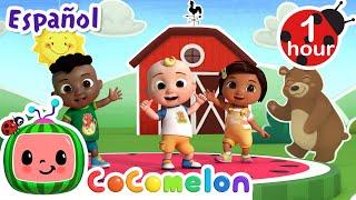 Coco baile | ¡CoComelon! | Canciones Infantiles en Español Latino