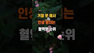 거절 못 해서 인생 망치는 혈액형 순위 #좋은글 #혈액형 #지혜 #명언 #인생조언