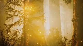 24/7 Relaxing Music for Deep Sleep and Meditation II Best of Divine Relaxation Musik Part I