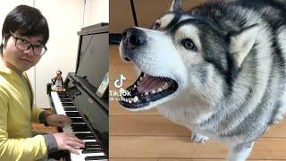 Piano Duet with Husky singing an Epic Villain Song