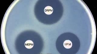 CARBAPENEMS - Doripenem Mechanism of Action