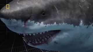 Megalodon Documentary-King of the Seas (Full Documentary)