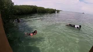 Negros 1st San Carlos City plaag to Sipaway Island (baibayon resort, mangrove, white beach, island)