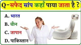 GK Question|| GK In Hindi  ||  GK Questions           And Answer || GK Quiz ll GK || GK STUDY