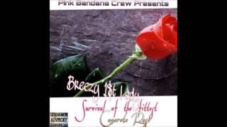 BREEZY BABY 1ST LADY x DJILEZ SELF MADE SURVIVAL OF THE FITTEST CONCRETE ROSE