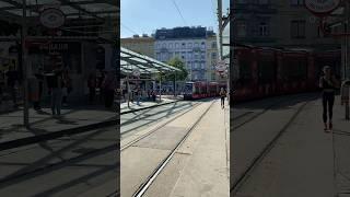 Vienna tram D Wien Franz-Josefs-Bahnhof #viennatram #tram  #vienna #austria