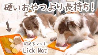 硬いおやつより長持ちする犬の最強おやつを作っていく！！【ストレス解消・口腔ケア】