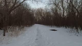 Icy Humberwood Trail Mississauga ON Canada #walk #canada #trail