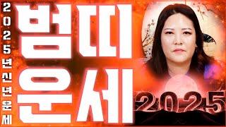 2025년 미리보는 을사년 호랑이띠운세2025년 금전,귀인,문서운 한번에 다 들어온다! 범띠분들 인생이 바뀝니다! 50년생 62년생 74년생 86년생 호랑이띠 운세