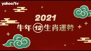 麥玲玲2021年生肖運程　屬牛、虎、免運勢及開運方法 | Yahoo Hong Kong