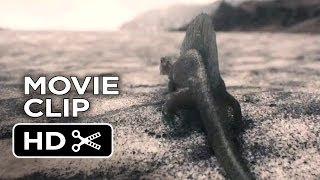 Noah Movie CLIP - Creation Sequence (2014) - Darren Aronofsky Movie HD