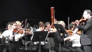 Colin and Brandon Aponte -- Bach Violin Concerto for Two Violins in D Minor, 2d mvt.