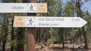 Ruta Paisaje Lunar. Un rincón de otro planeta en Tenerife. Vívelo Caminantes de Aguere.