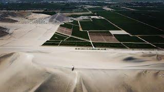 Adrenalina EXTREMA En Las DUNAS