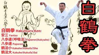 糸東流秘伝【白鶴拳】柔らかくも危険すぎる「開手と弧拳」！型分解で学ぶ！白鶴拳の真髄　Hakutsuruken: Famous KATA from the movie KARATE KID!