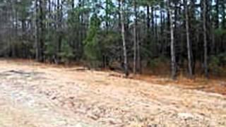 Homes for Sale - Crenshaw Road Lumber Bridge NC 28357 - Leroy Rising