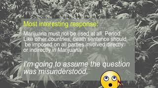 Cannibas Survey Results   YAP