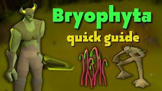 Bryophyta Quick Guide [F2P/P2P] | OSRS