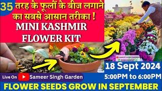 September October || 35 तरह के फूलों के बीज लगाने का सबसे आसान तरीका || MINI KASHMIR FLOWER KIT