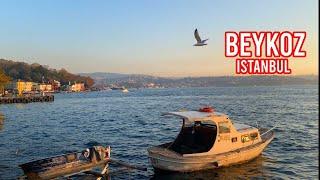 Hidden Istanbul Beykoz at Sunset: Tranquil Views and Hidden Gems