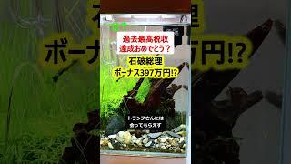 【悲報】石破首相、ボーナス397万円…財源は?【政治ニュース】