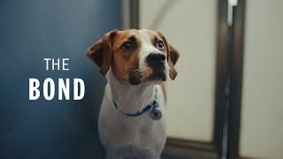 A Battersea Story | The Bond