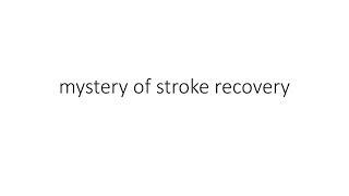 Mystery of Stroke Recovery