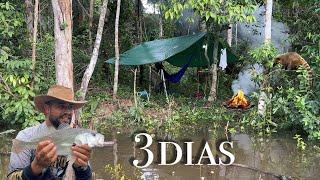 PESCANDO, ACAMPANDO e ENFRENTANDO Desafios por 3 DIAS em Solo AMAZÔNICO, RATOS, MACACOS e FORMIGAS!