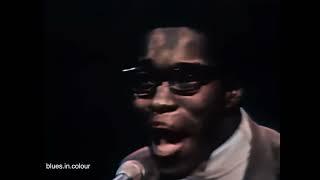 Buddy Guy - 'Let Me Love You Baby' live [Colourised] 1960s