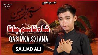 Nohay 2023 | Shah Qasim Jana | New Noha | Sajjad Ali | Daste Imamia Mughal Hazara | Muharram 2023