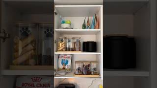 *ASMR* PET PRODUCTS ORGANIZING! #asmr #restock #organization #pets #dog #petproducts #dogtreats