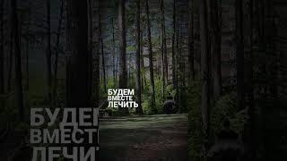 Второй мой психолог 